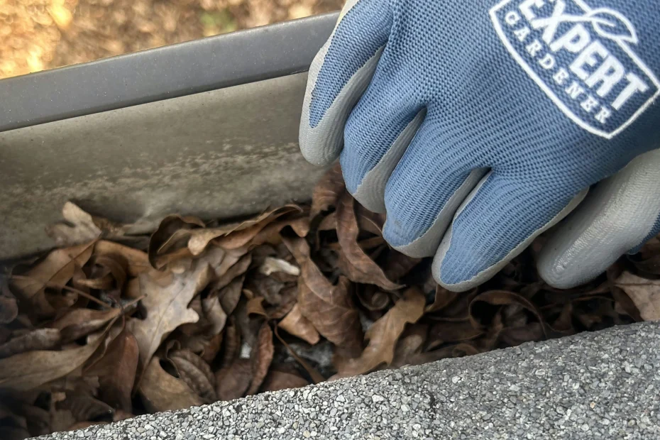 Gutter Cleaning Clintonville