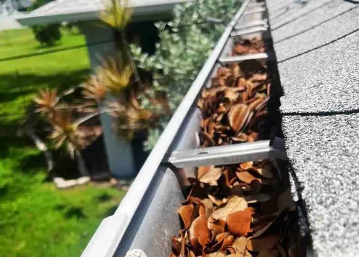 Gutter Cleaning Clintonville home page